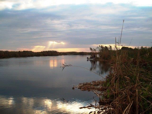 delta rosu 2010 - sany1208-r.JPG